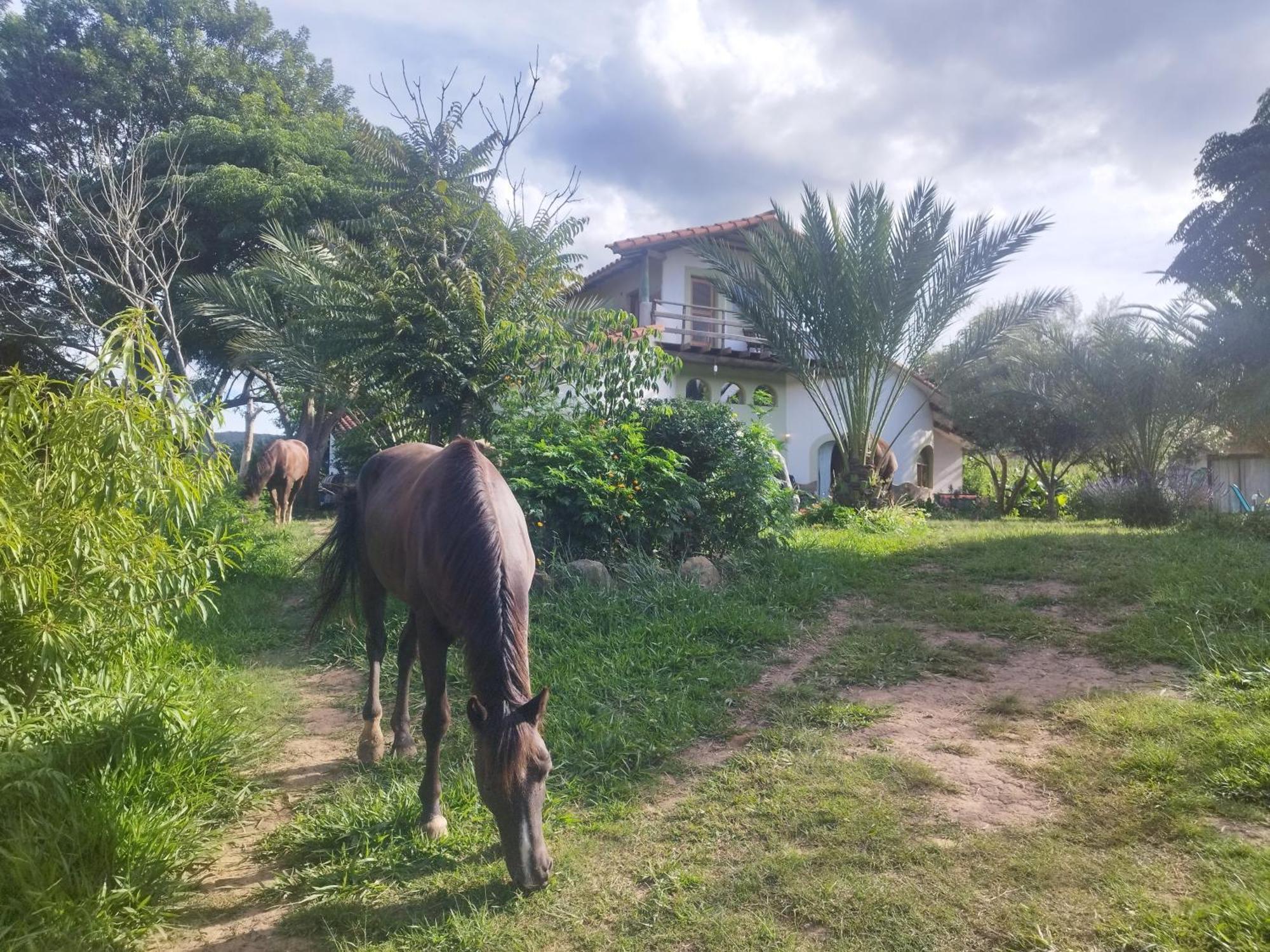 Horse Inn - Posada Samaipata Kültér fotó